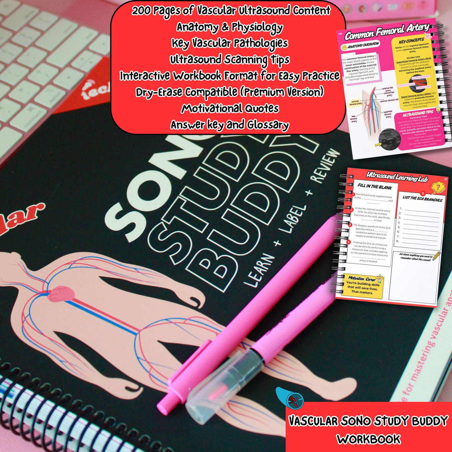 Complete Sonography Study Bundle