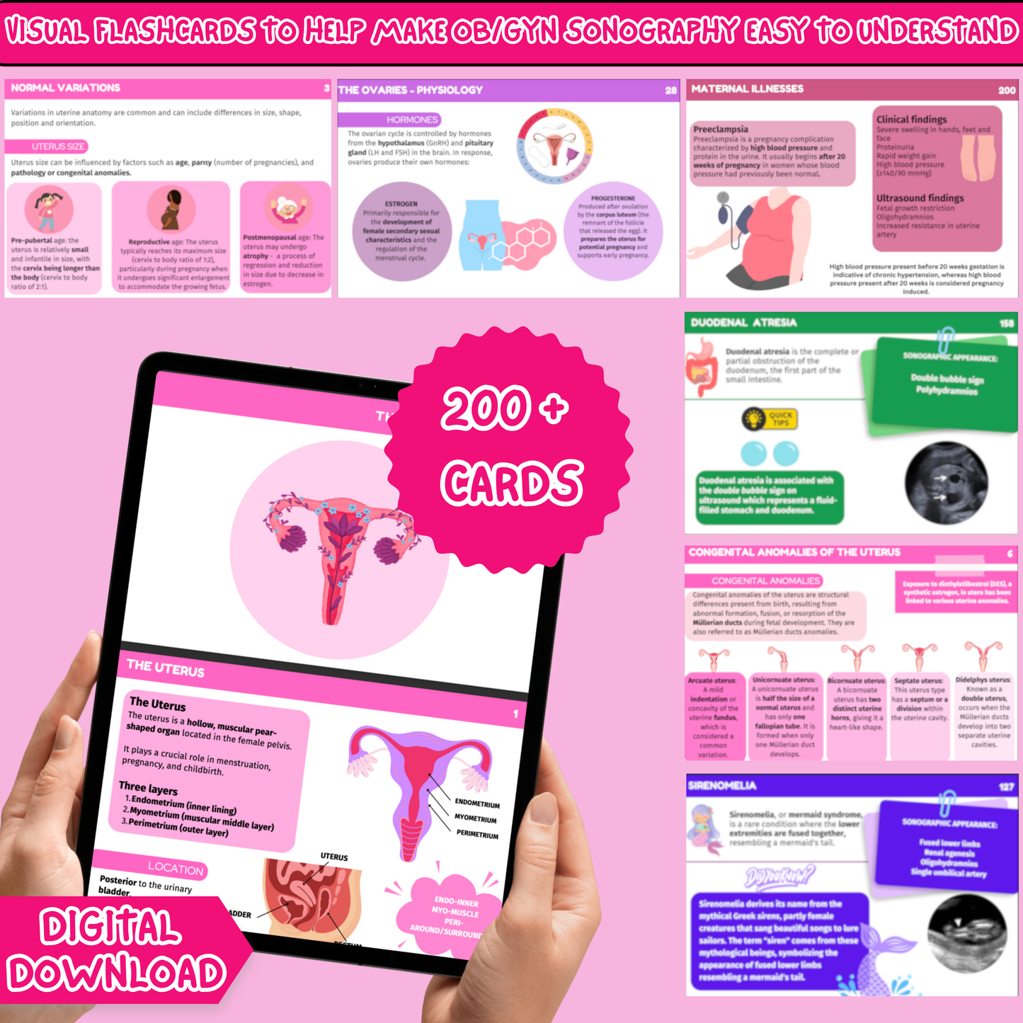 Digital Obstetrics & Gynecology Ultrasound Flashcards