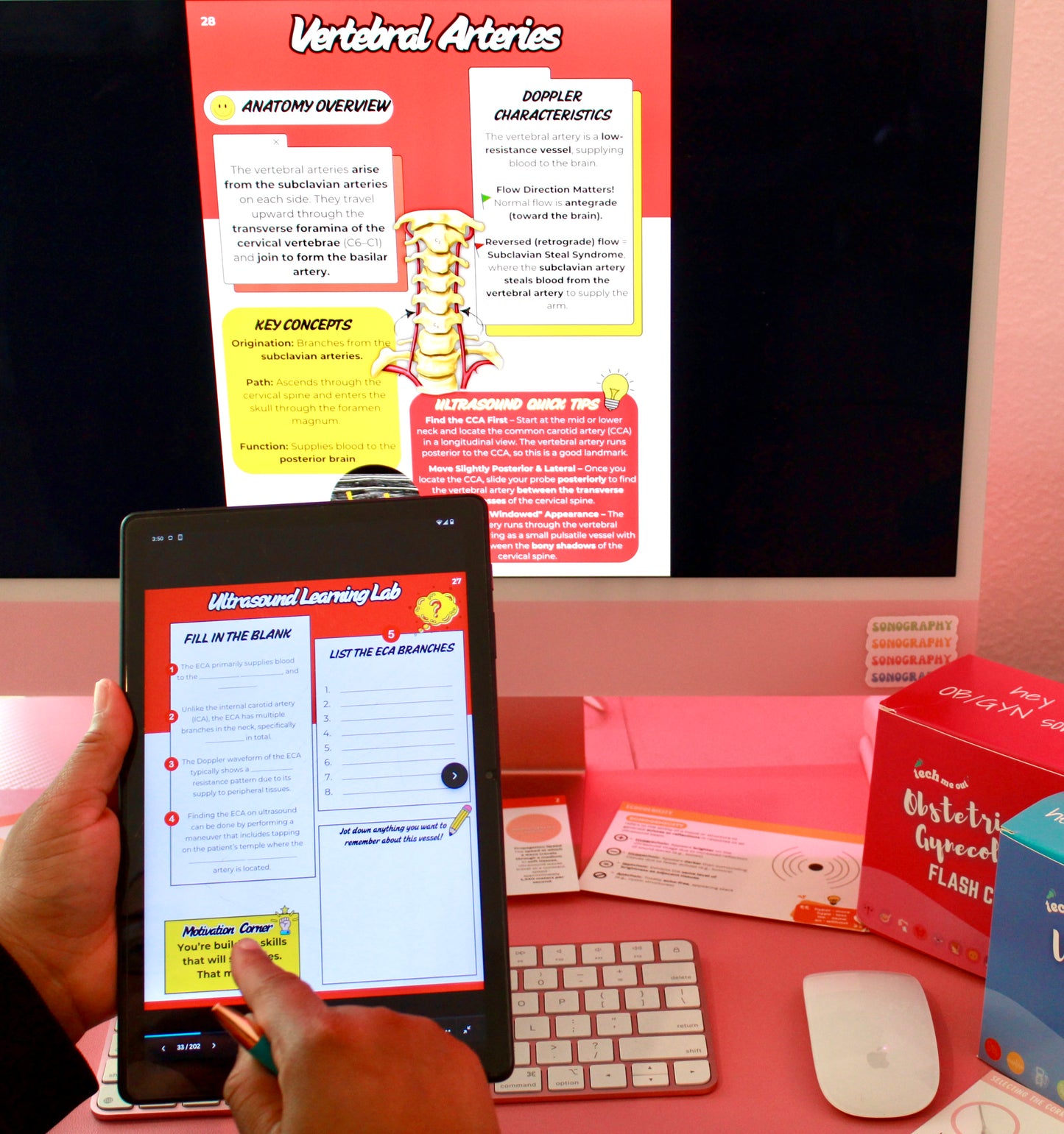 Sono Study Buddy: Digital Vascular Edition