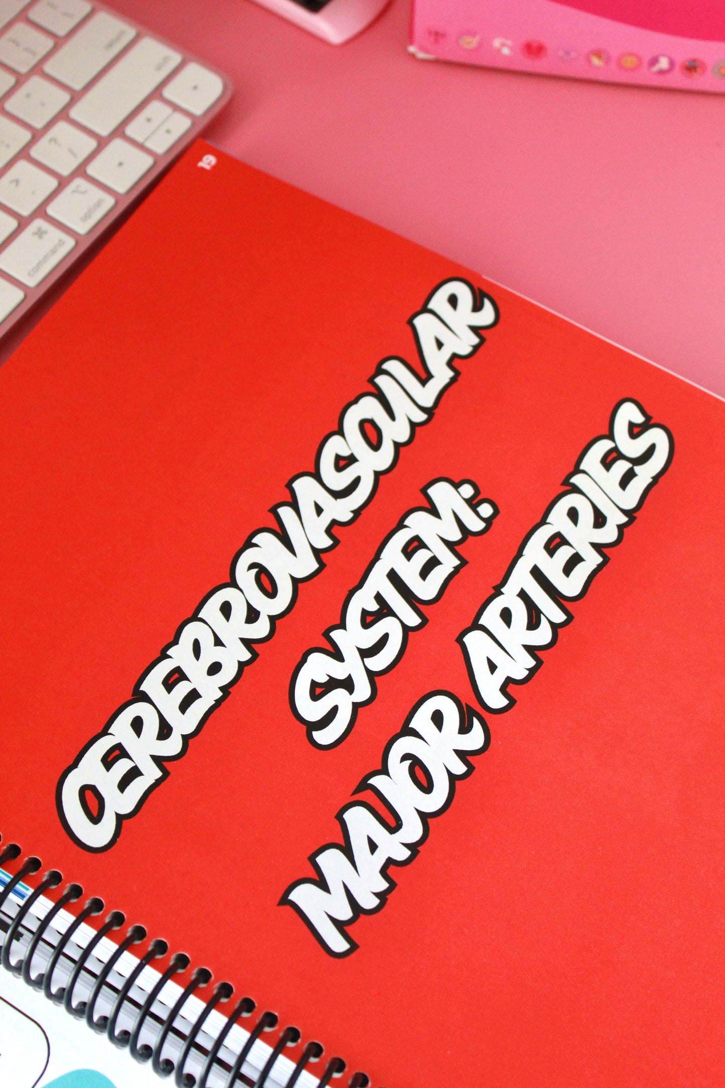 Sono Study Buddy Physical Book: Vascular Edition