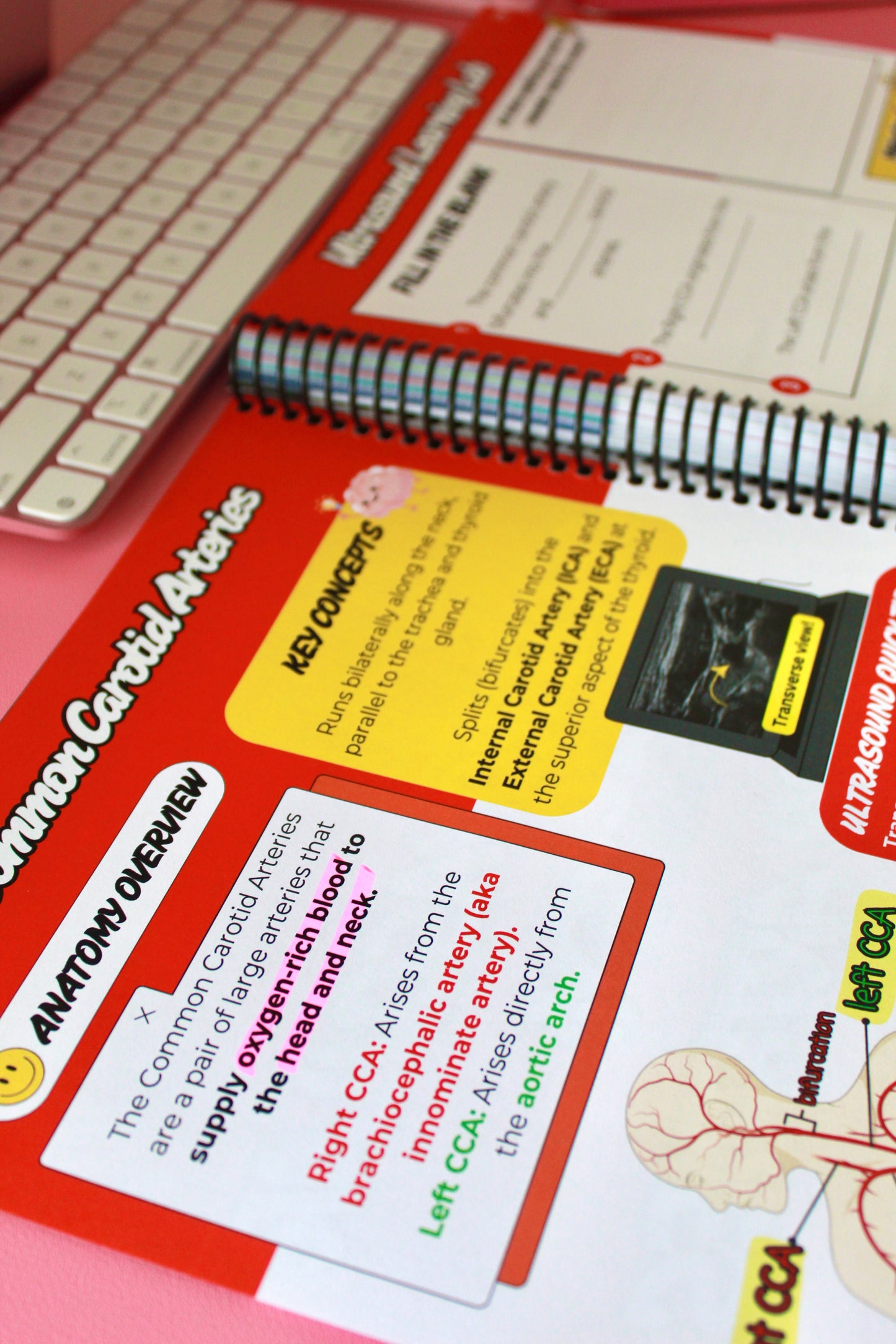 Sono Study Buddy Physical Book: Vascular Edition