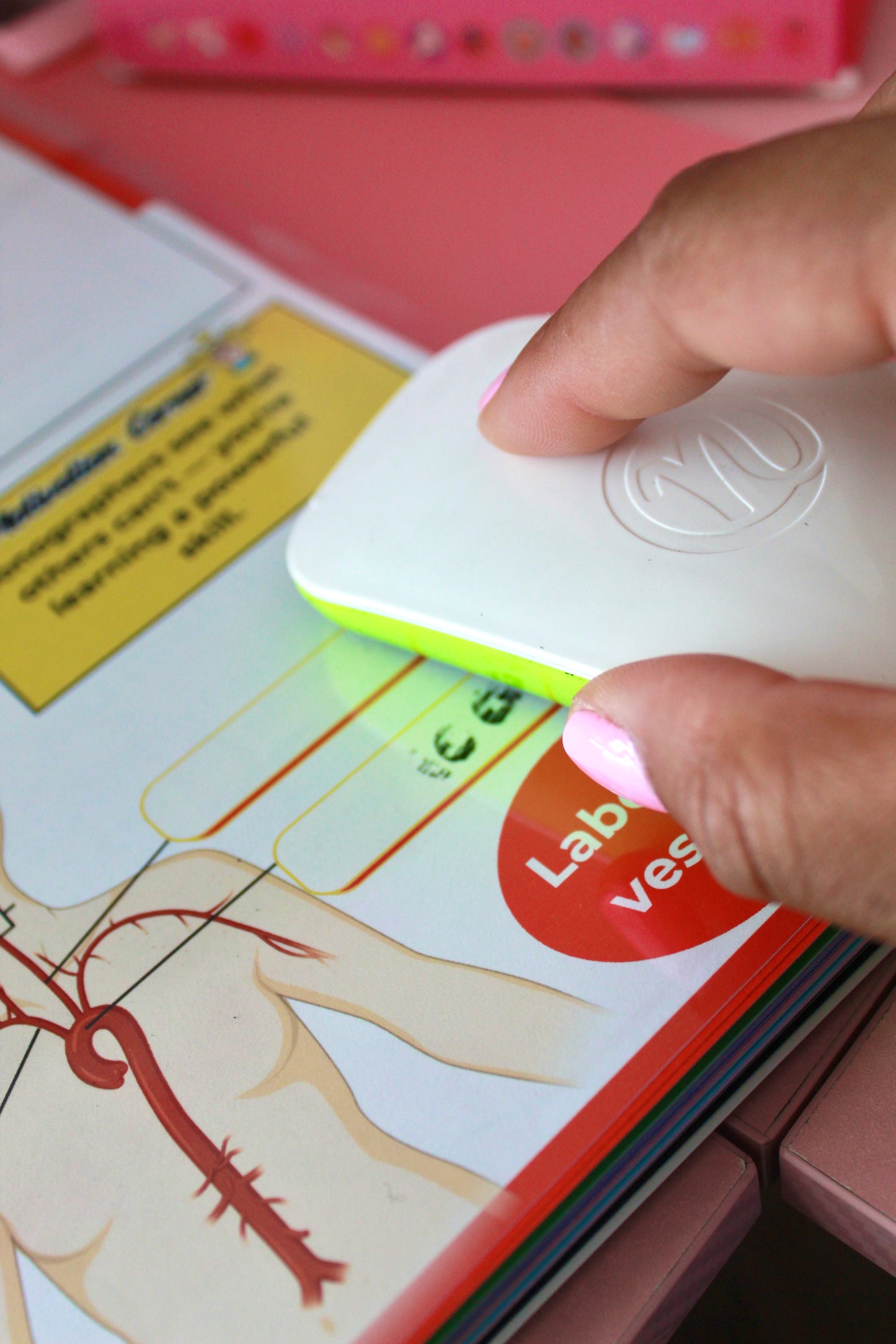 Sono Study Buddy Physical Book: Vascular Edition