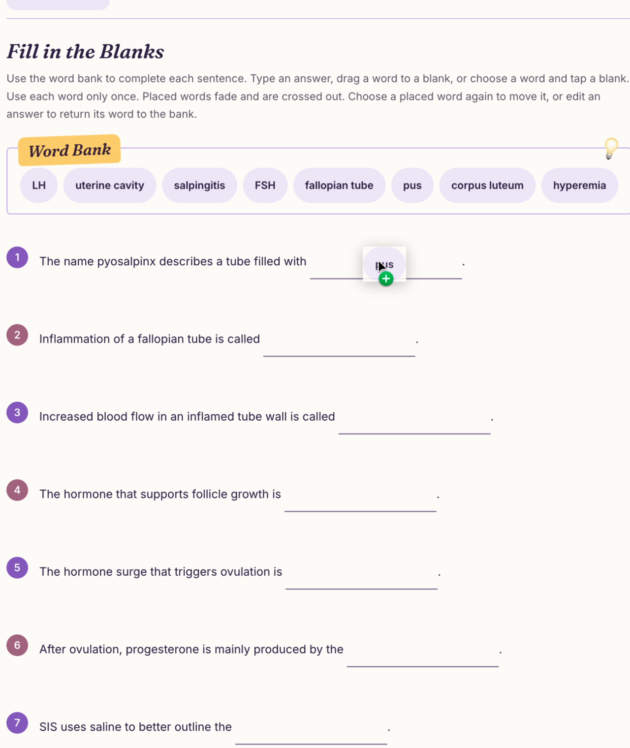Screenshot from the actual GYN workbook preview